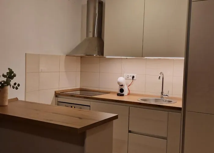 Princess 브로다리카